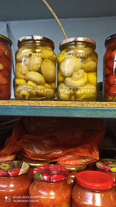Продам домашние заготовки. Урожай 2026.