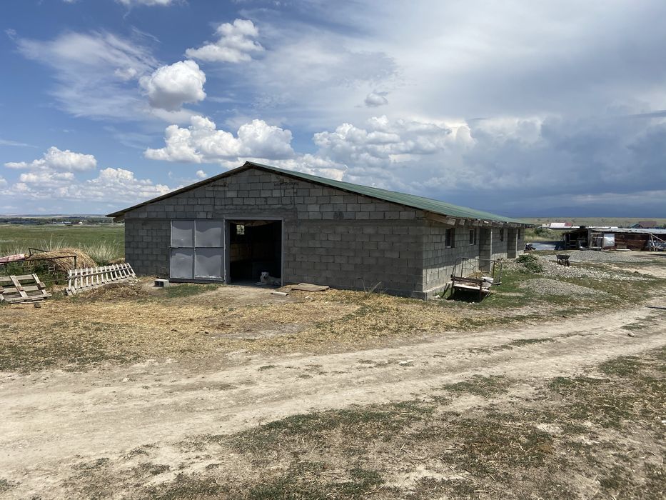 Продам Фазенду В Талдыкоргане