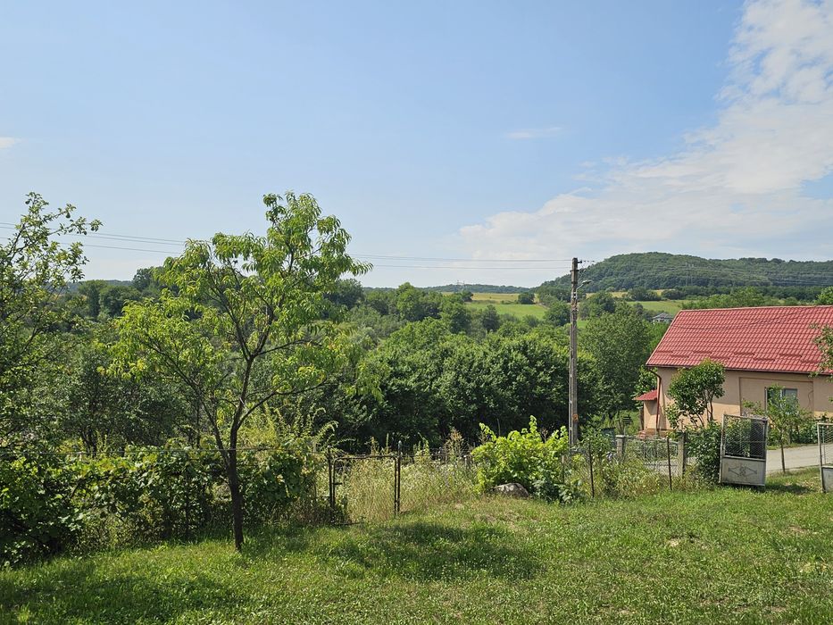 Casă 82 mp cu teren de 10.000 mp intravilan, șură și grajd