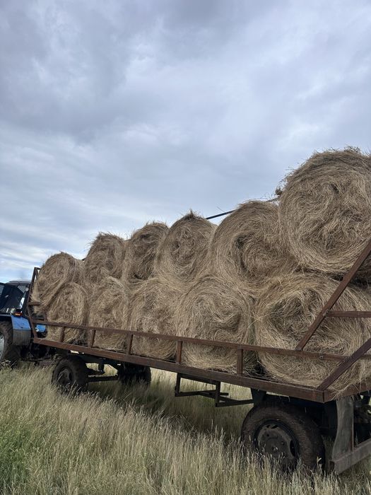 Сено круглый тюк шоп
