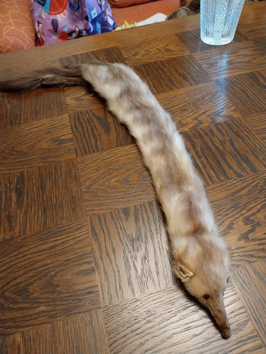 Guler jder culoare maro