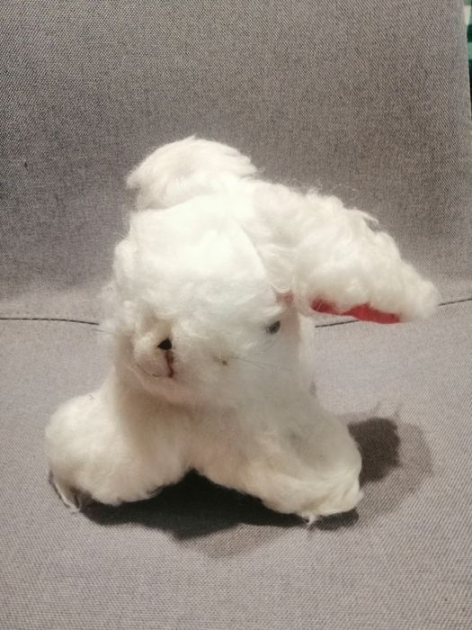 Plusuri vechi, vintange