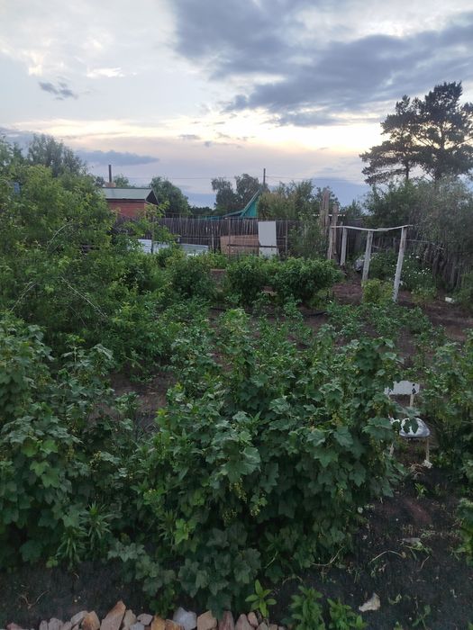 Дача, продам, пять соток