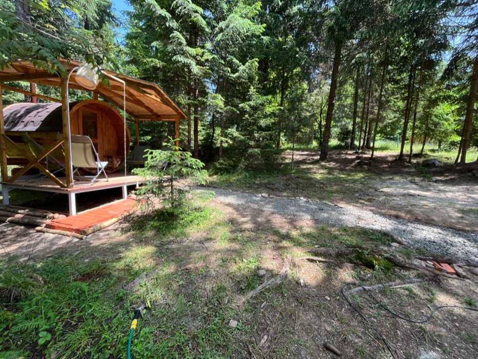 Cabana Ratacita - de inchiriat Belis