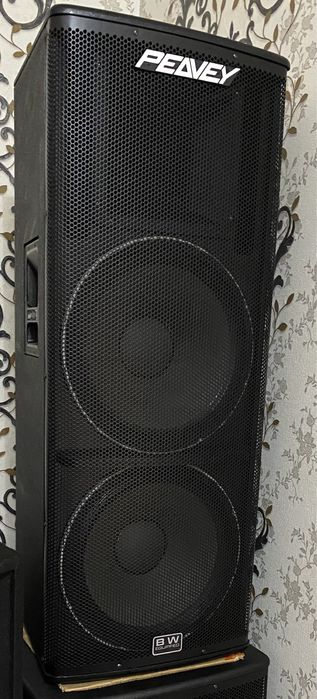 Peavey двайник 15 динамик