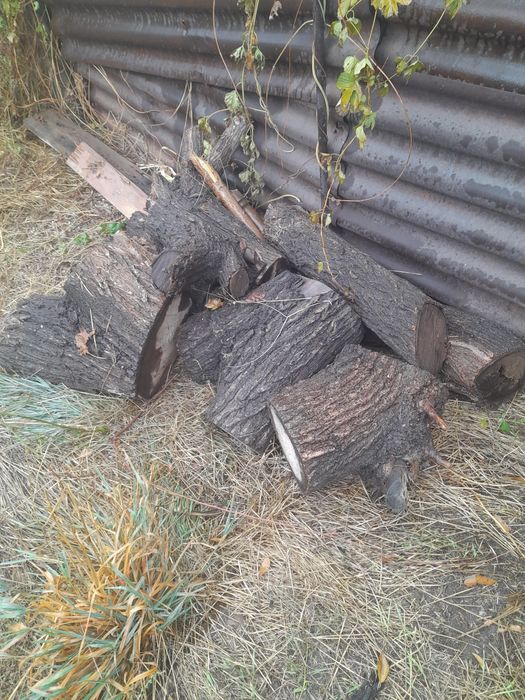 Продам дрова сухие