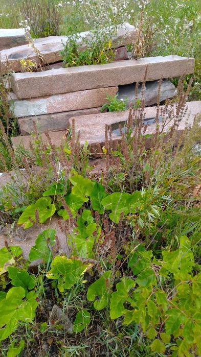 Бардюрный гранитный камень