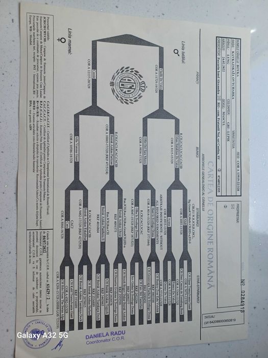 Vînd Ciobănesc Caucazian
