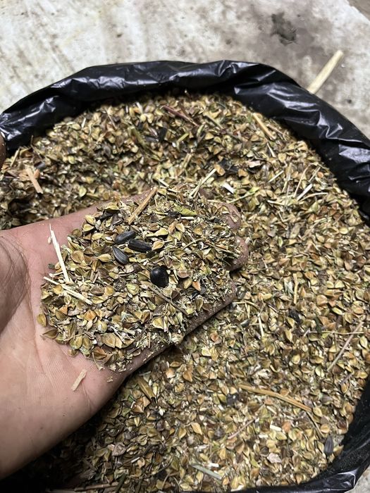 Продам Зерно отход в Мешках гречка семечки
