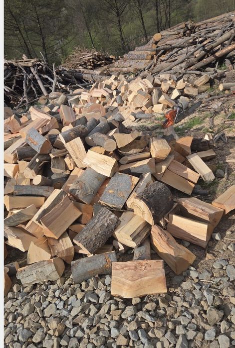 Lemne de foc crapate