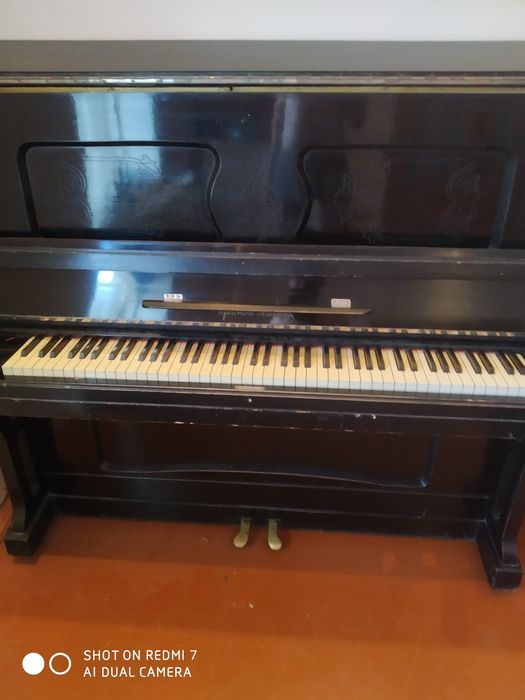 Пиянина арзон нархда