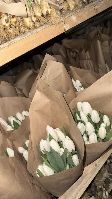 Цветы тюлпаны успейте