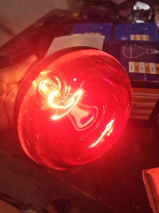 Ultra qizil lampalar bor