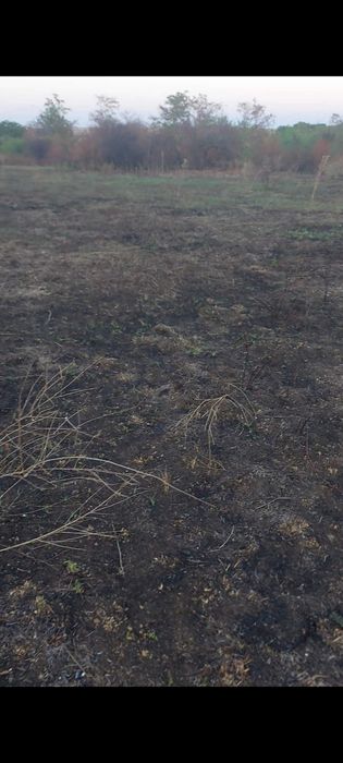 Дворно място 2000 кв.м. в село Миладиновци област Ямбол