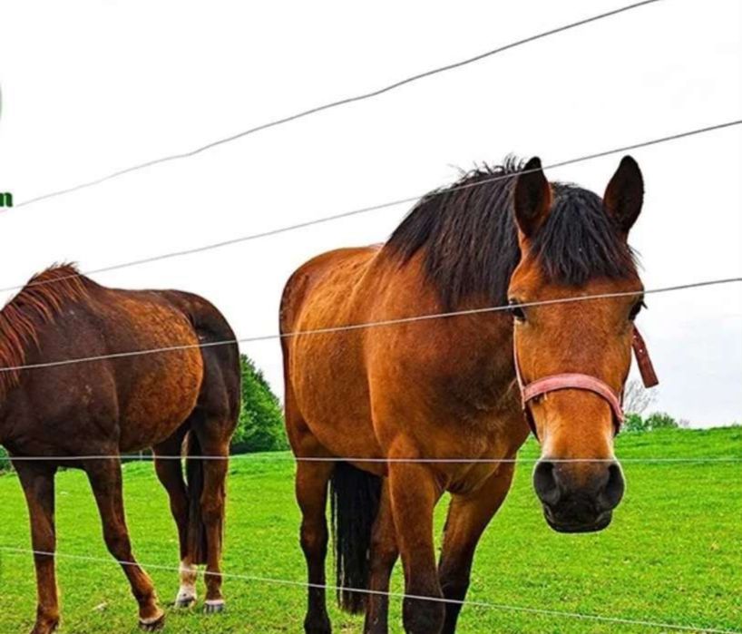 BEKCI Электропастух 25 дж 150 ки