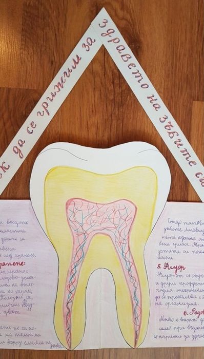 Учебници за 4.клас и проект по Човекът и природата за 6.клас