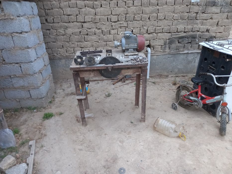 Пиларама буви 5555