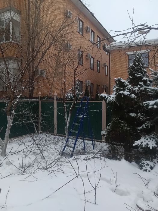 Обрезка деревьев