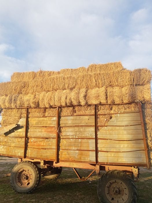 Мтз 80 сатылады жагдайе жаксы