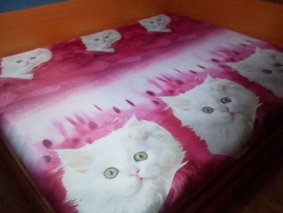 Cearceafuri cu pisici, pt pilota - NOI