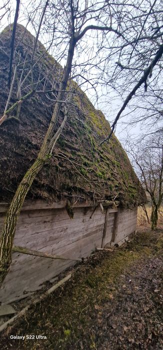 Vând șură veche din  lemn de brad