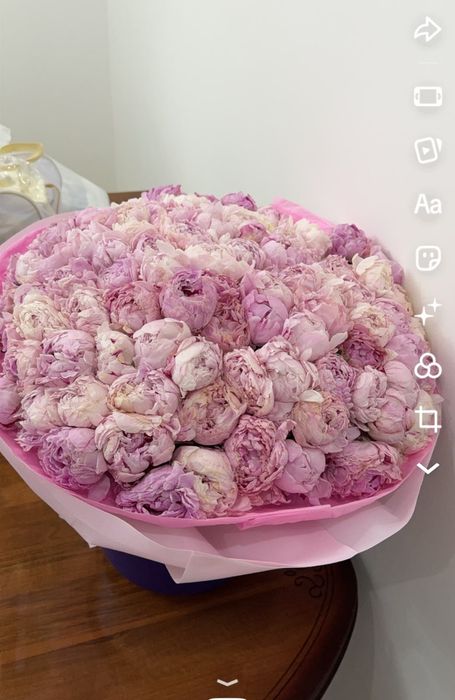 Продам пионы 101 шт