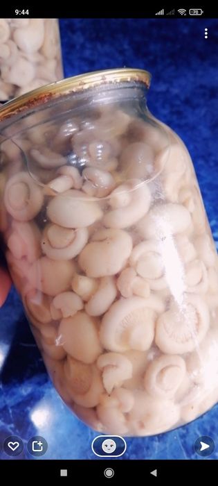 Белый горный гриб 3500