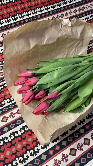 Тюльпаны тельпаны тюлпаны цветы бесплатный доставка