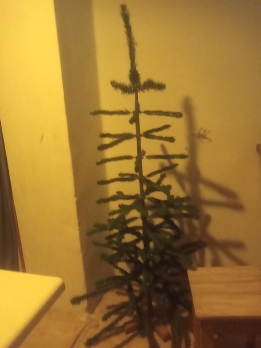 Продам  советскую ёлку