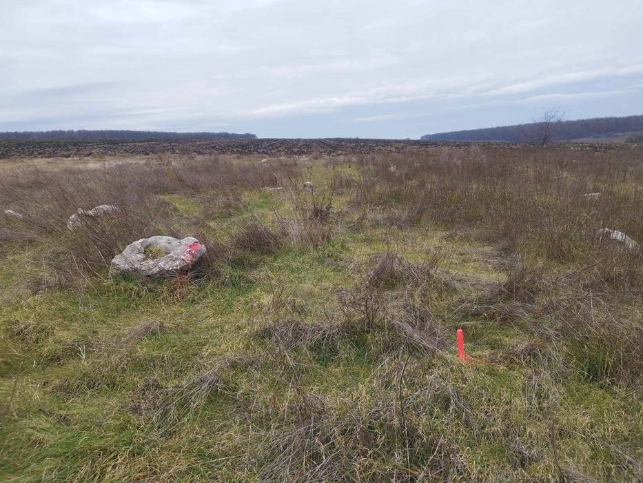 Продава се Парцел в к.к. Слънчев бряг - 3000 кв.м за 7 €/кв.м - Снимка #2