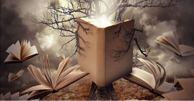 Ofer meditatii la matematica clasele I-VIII