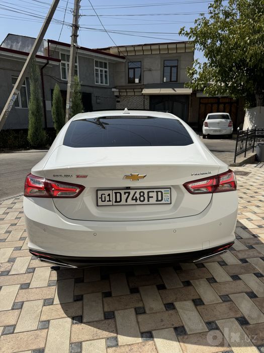 Malibu 2 premer 2022