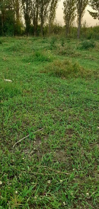 Учаска  ва уи сотилади