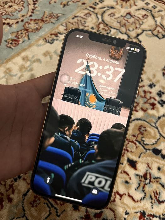 12про макс золотом расцвете