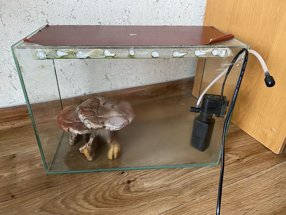 Аквариум со всеми принадлежностями