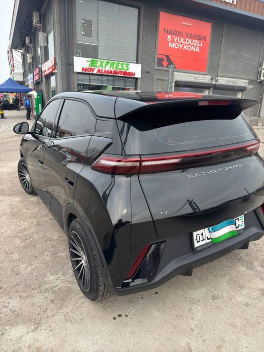 Byd seagull sotiladi toza