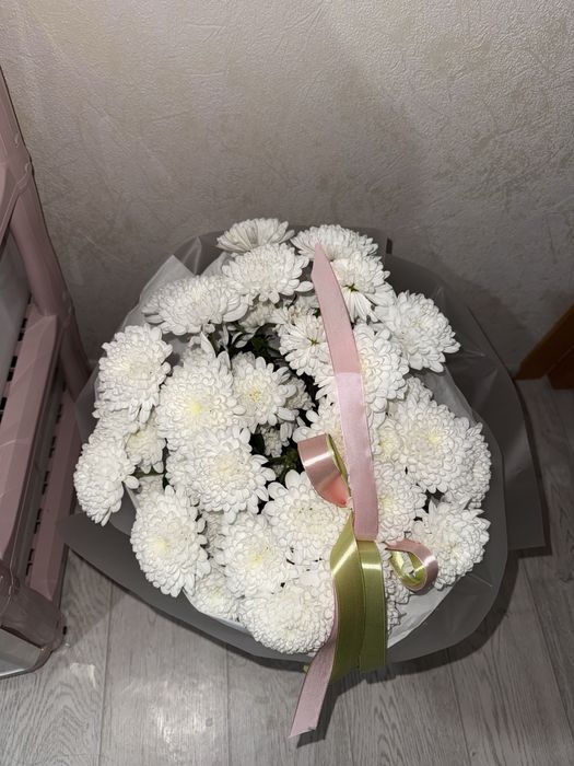 Срочно продается цветтыы!