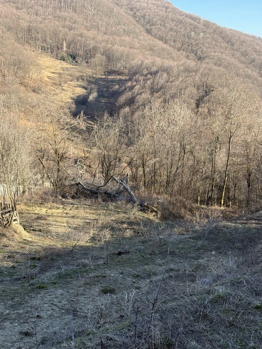 Vand teren baraj Paltinu