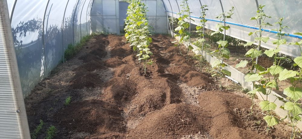 Balegar ingrasemant natural pamant mranita  piatra transport basculabi