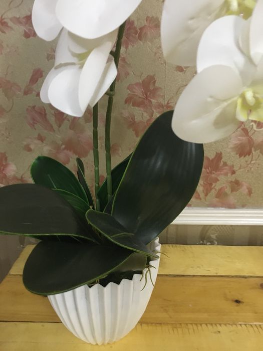 Цветок - архидея  своими руками