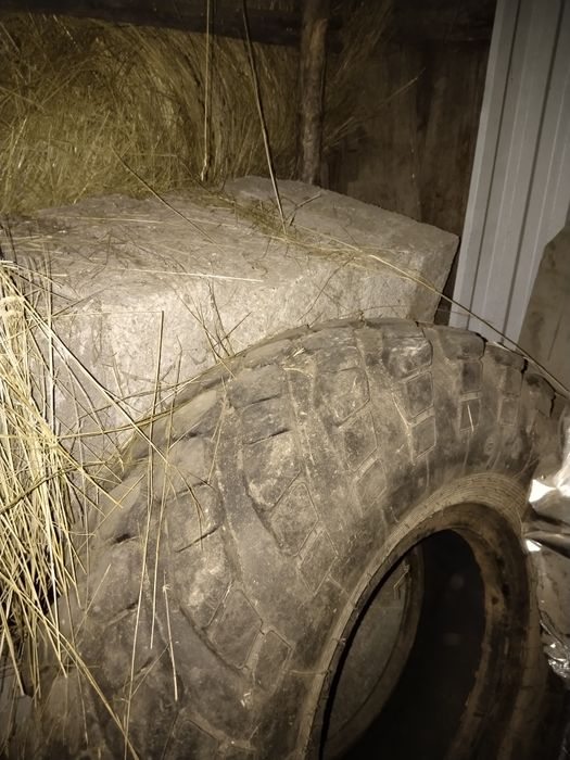 Продам резину на газ 66.