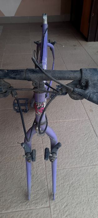 Checker pig cpx 2000