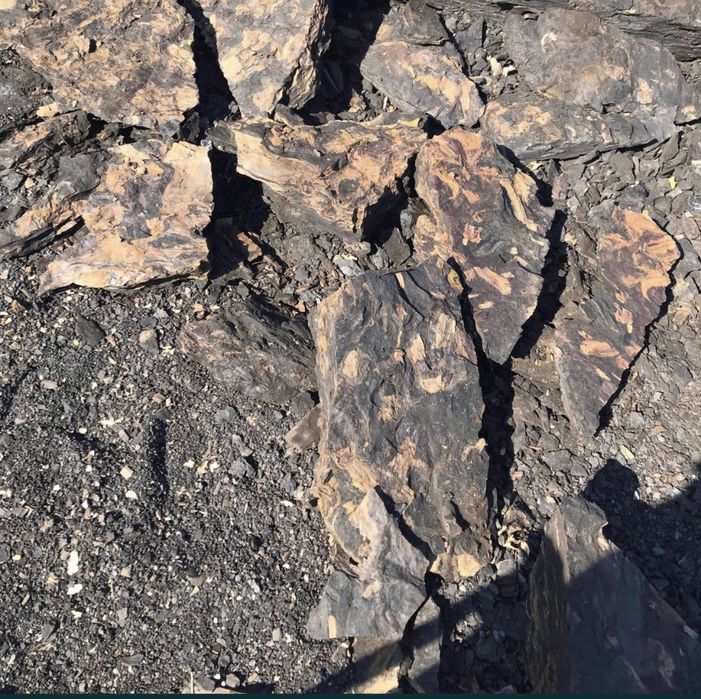 Carbune pentru centrale