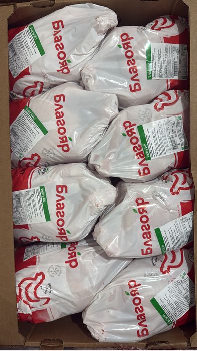 Мясо курицы оптом