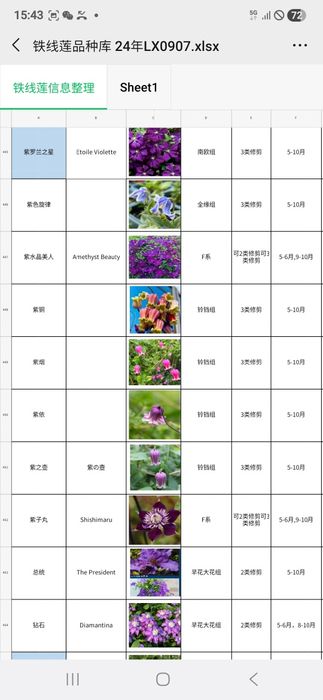 Климатис биринчи кул оптом