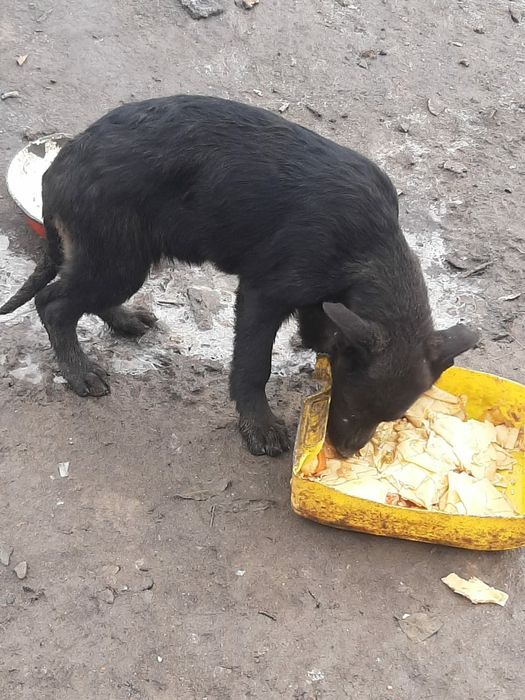 Нормально хорошо