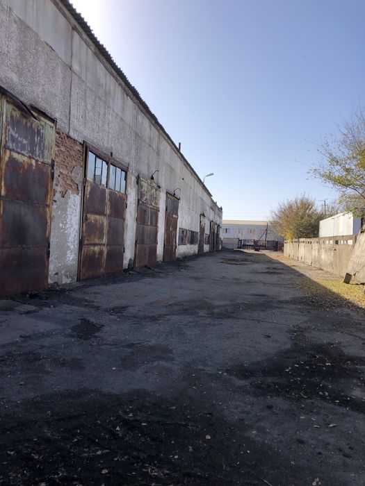 Сдам бокс под СТО