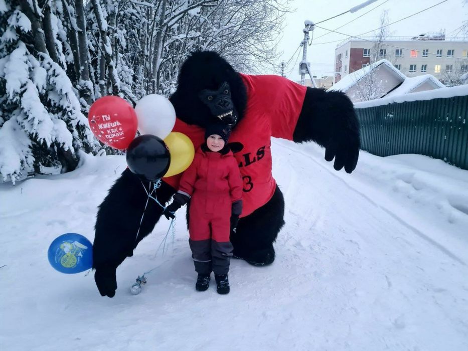 Горилла 8.000 Умка Панда Бурый медведь