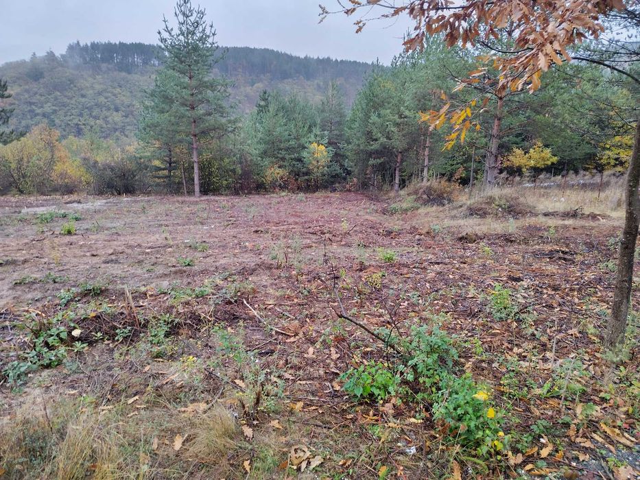 Продава се Парцел в с. Венковец, Област София-област - 966 кв.м за 54 €/кв.м - Снимка #3