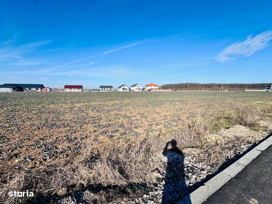 Teren Ciofliceni lângă pădure,Utilități complete Comision 0